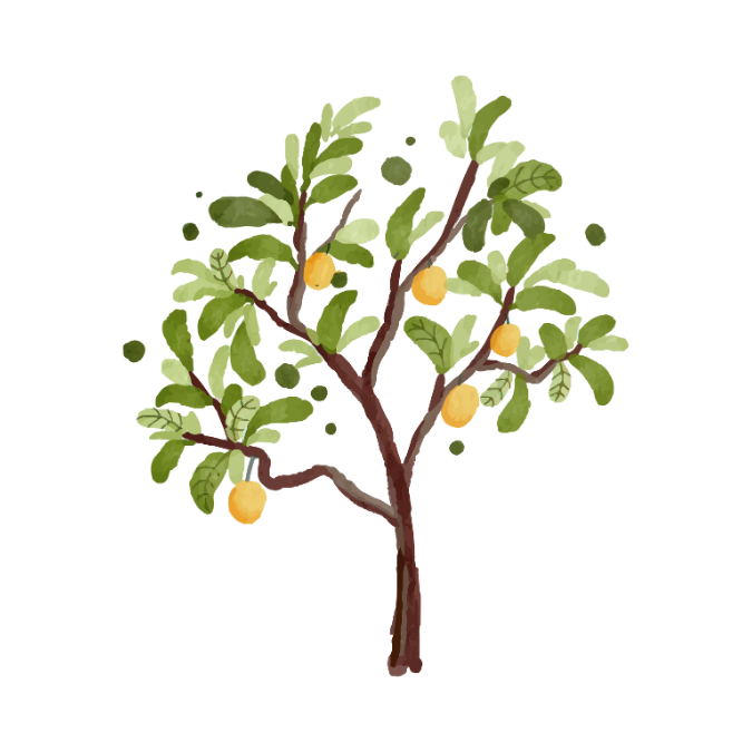 Decorative image of a tree