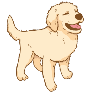 <span class="translation_missing" title="translation missing: fi.footer.masa_alt">Masa Alt</span>