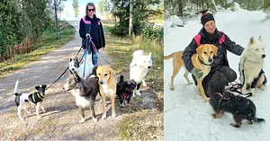 Hoitopaikka Nana P. - Aktiviteetit, Kaikenkokoisille koirille, Asuu oman lemmikin kanssa, Koulutettu eläintenhoitaja